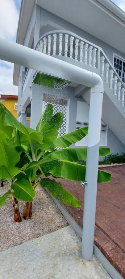 Villa Ravens'S Paradise Azul Willemstad Exteriör bild